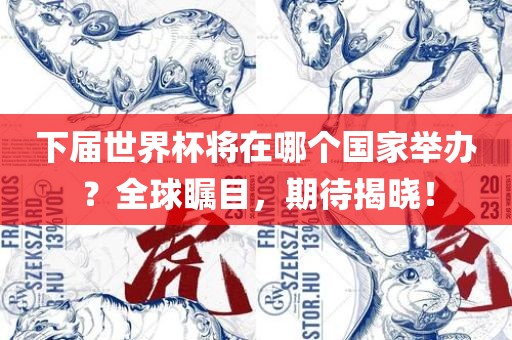 下届世界杯将在哪个国家举办？全球瞩目，期待揭晓！