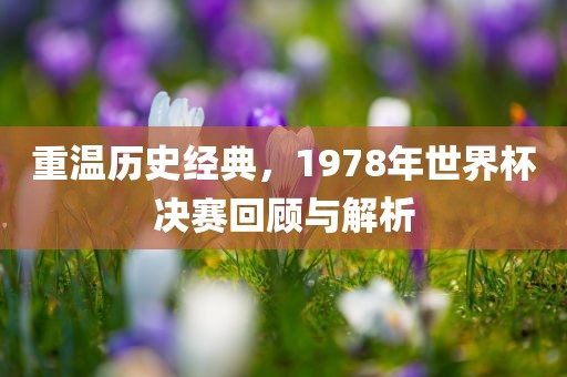 重温历史经典，1978年世界杯决赛回顾与解析