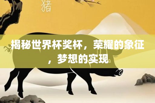 揭秘世界杯奖杯，荣耀的象征，梦想的实现