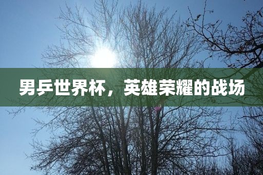 男乒世界杯，英雄荣耀的战场