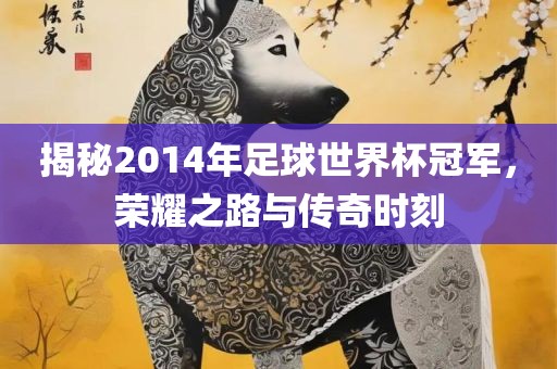 揭秘2014年足球世界杯冠军，荣耀之路与传奇时刻