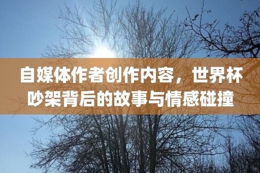 自媒体作者创作内容，世界杯吵架背后的故事与情感碰撞洛阳市法福文化传播有限公司