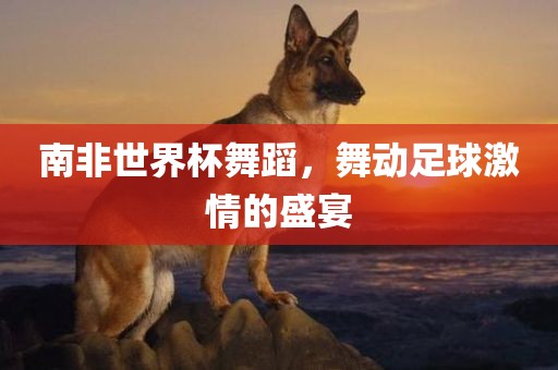 南非世界杯舞蹈，舞动足球激情的盛宴