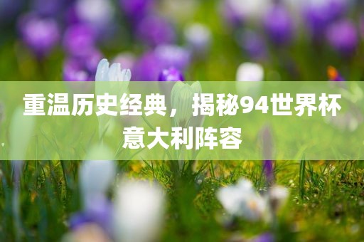 重温历史经典，揭秘94世界杯意大利阵容