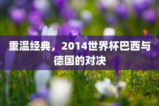 洛阳市法福文化传播有限公司重温经典，2014世界杯巴西与德国的对决