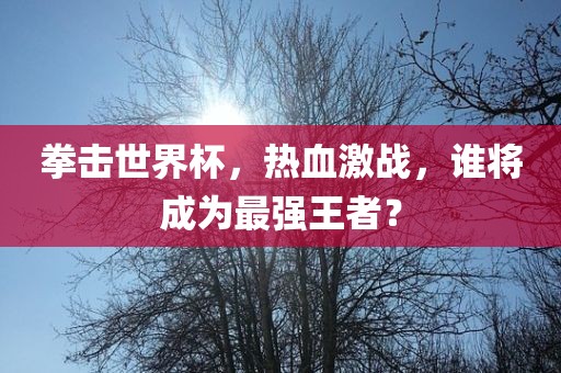 拳击世界杯，热血激战，谁将成为最强王者？