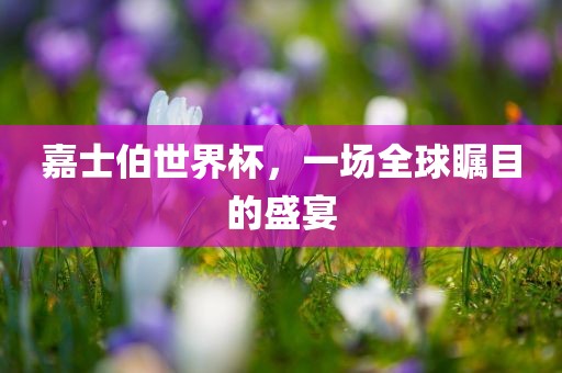 嘉士伯世界杯，一场全球瞩目的盛宴洛阳市法福文化传播有限公司