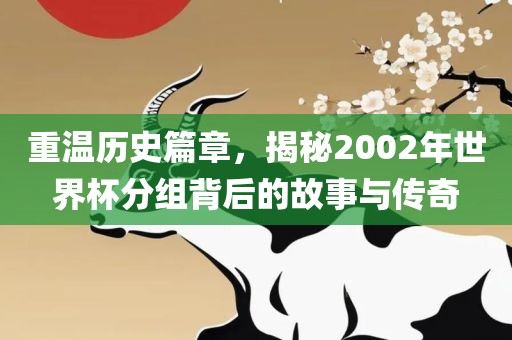 重温历史篇章，揭秘2002年世界杯分组背后的故事与传奇