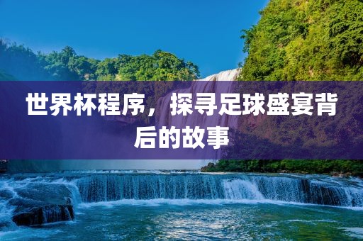 世界杯程序，探寻足球盛宴背后的故事
