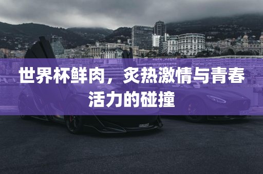 世界杯鲜肉，炙热激情与青春活力的碰撞洛阳市法福文化传播有限公司