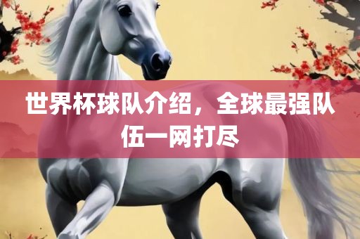 世界杯球队介绍，全球最强队伍一网打尽洛阳市法福文化传播有限公司