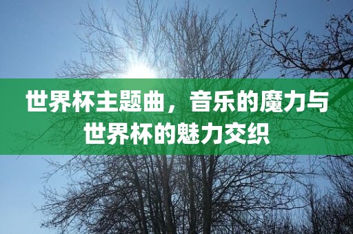 世界杯主题曲，音乐的魔力与世界杯的魅力交织洛阳市法福文化传播有限公司