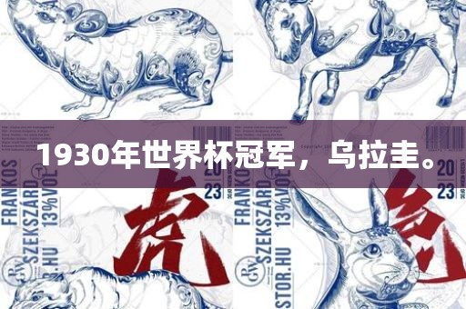 1930年世界杯冠军，乌拉圭。