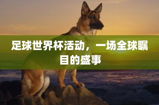 足球世界杯活动，一场全球瞩目的盛事洛阳市法福文化传播有限公司