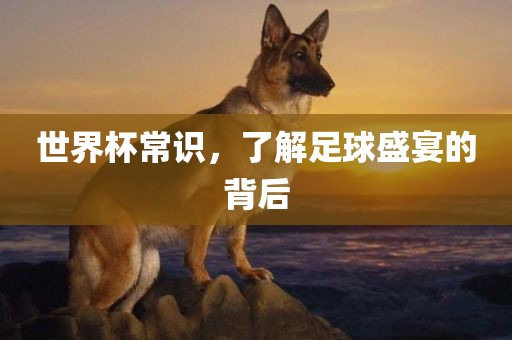 世界杯常识，了洛阳市法福文化传播有限公司解足球盛宴的背后