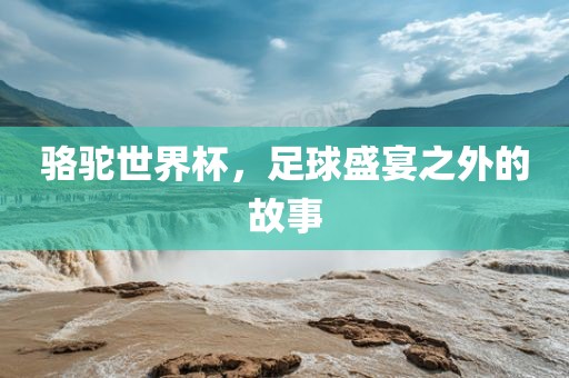 骆驼世界杯，足球盛宴之外的故事洛阳市法福文化传播有限公司