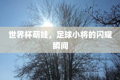 世界杯萌娃，足球小将的闪耀瞬间洛阳市法福文化传播有限公司