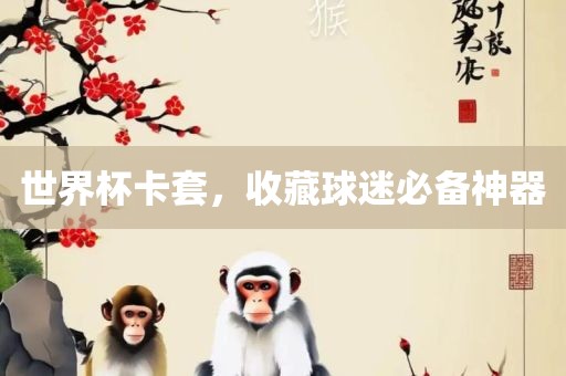 洛阳市法福文化传播有限公司世界杯卡套，收藏球迷必备神器