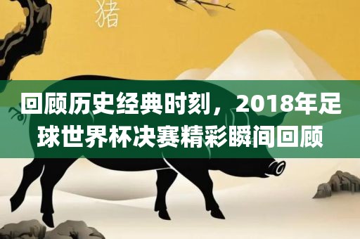 回顾历史经典时刻，2018年足球世界杯决赛精彩瞬间回顾