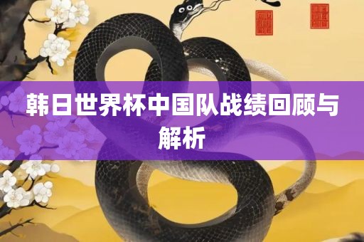 韩日世界杯中国队战绩回顾与解析