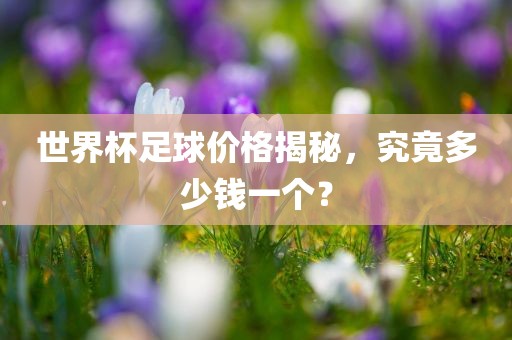 世界杯足球价格揭秘，究竟多少钱一个？