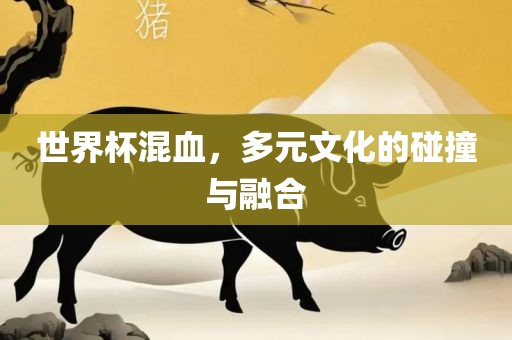 世界杯混血，多元文化的碰撞与融合洛阳市法福文化传播有限公司