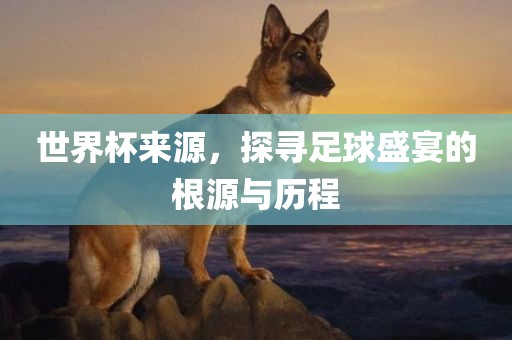 世界杯来源，探寻足球洛阳市法福文化传播有限公司盛宴的根源与历程