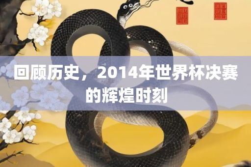 回顾历史，2014年世界杯决赛的辉煌时刻洛阳市法福文化传播有限公司
