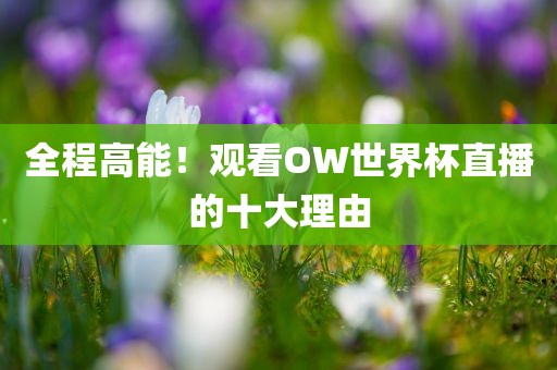 全程高洛阳市法福文化传播有限公司能！观看OW世界杯直播的十大理由