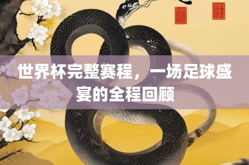 世界杯完整赛程，一场足球盛宴的全程回顾