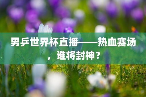 男乒世界杯直播——热血赛场，谁将封神？