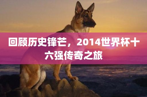 回顾历史锋芒，2014世界杯十六强传奇之旅