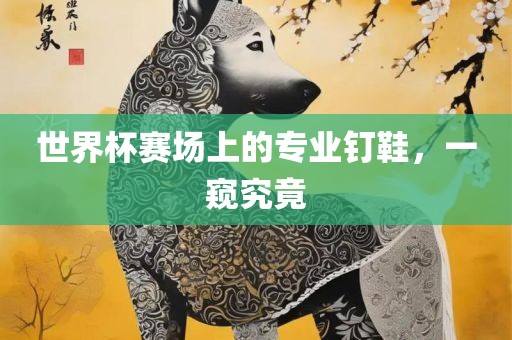 世界杯赛场上的专业钉鞋，一窥究竟洛阳市法福文化传播有限公司