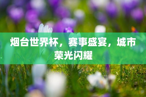 烟台世界杯，赛事盛宴，洛阳市法福文化传播有限公司城市荣光闪耀