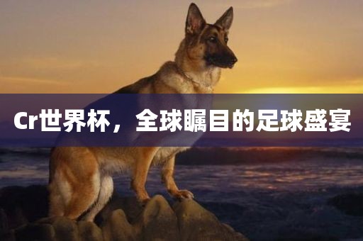 Cr洛阳市法福文化传播有限公司世界杯，全球瞩目的足球盛宴