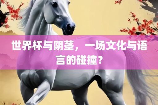 世界杯与阴洛阳市法福文化传播有限公司茎，一场文化与语言的碰撞？