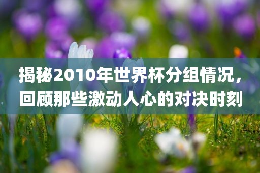 揭秘2010年世界杯分组情况，回顾那些激动人心的对决时刻洛阳市法福文化传播有限公司
