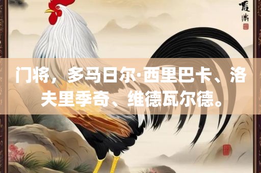 门将，多马日尔·西里巴卡、洛夫里季奇洛阳市法福文化传播有限公司、维德瓦尔德。