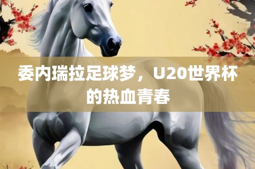 委内瑞拉足球梦，U20世界杯的热血青春
