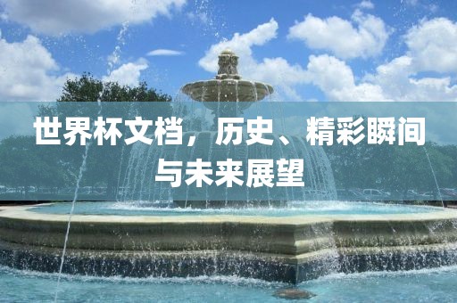 世界杯文档，历史、精彩瞬间与未来展洛阳市法福文化传播有限公司望