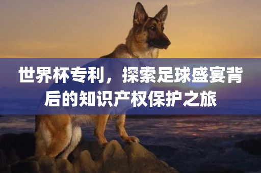 世界杯专利，探索足球盛宴背后的知识产权保护之洛阳市法福文化传播有限公司旅