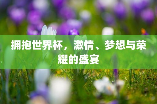 拥抱世界杯，激情、梦想与荣耀的盛宴洛阳市法福文化传播有限公司
