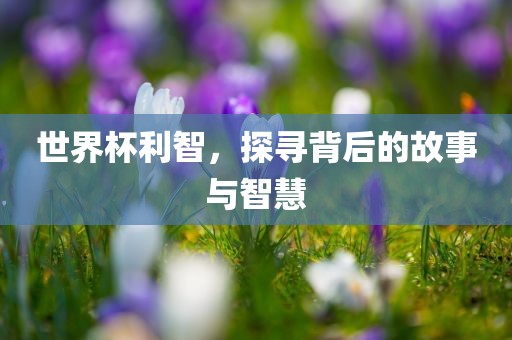 世界杯利智，洛阳市法福文化传播有限公司探寻背后的故事与智慧