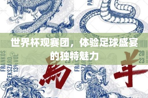 世界杯观赛团，体验足球盛宴的独特魅力