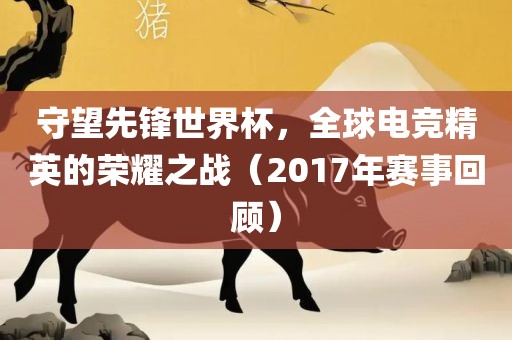 守望先锋世界杯，全球电竞精洛阳市法福文化传播有限公司英的荣耀之战（2017年赛事回顾）