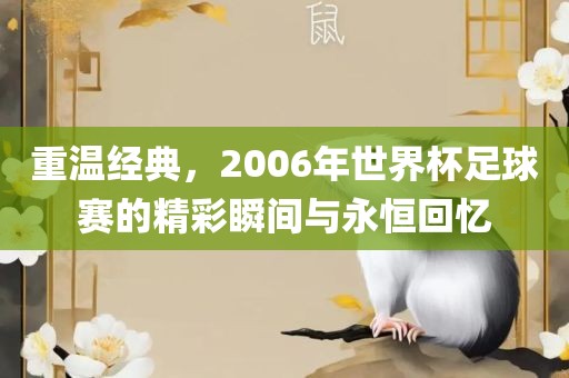 重温经典，2006年世界杯足球赛的精彩瞬间与永恒回忆洛阳市法福文化传播有限公司