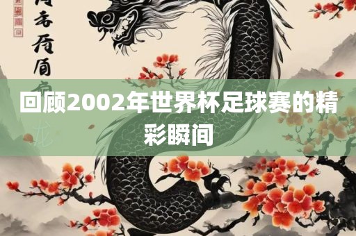 回顾2002年世界杯足球赛的精彩瞬间