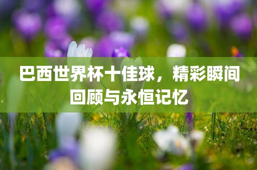巴西世界杯十佳球，精彩瞬间回顾与永恒记忆洛阳市法福文化传播有限公司