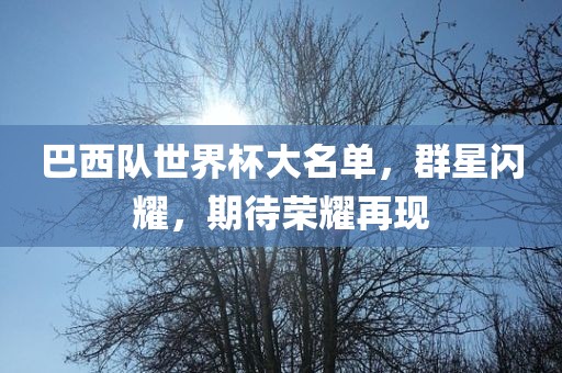 巴西队世界杯大名单，群星闪耀，期待荣耀再现