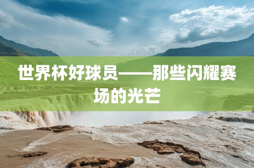世界杯好球员——那些闪耀赛场的光芒洛阳市法福文化传播有限公司